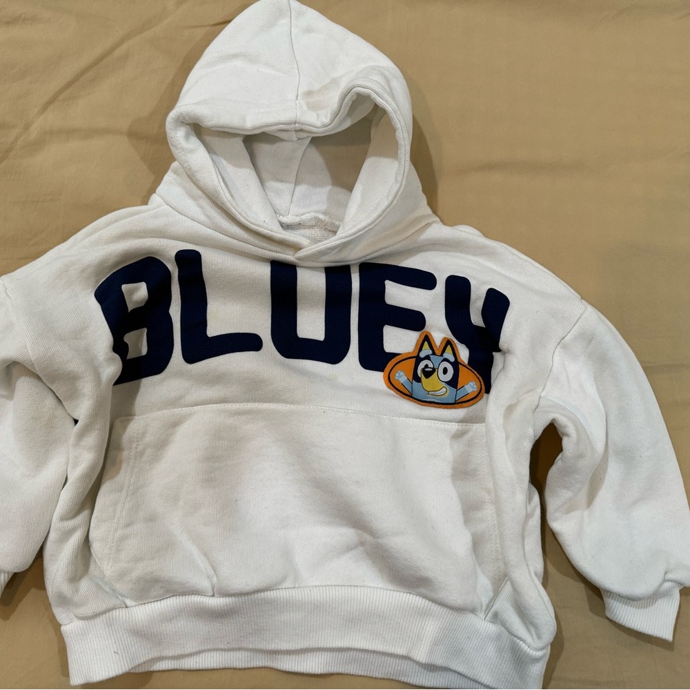 Zara kid Bluey hoodie